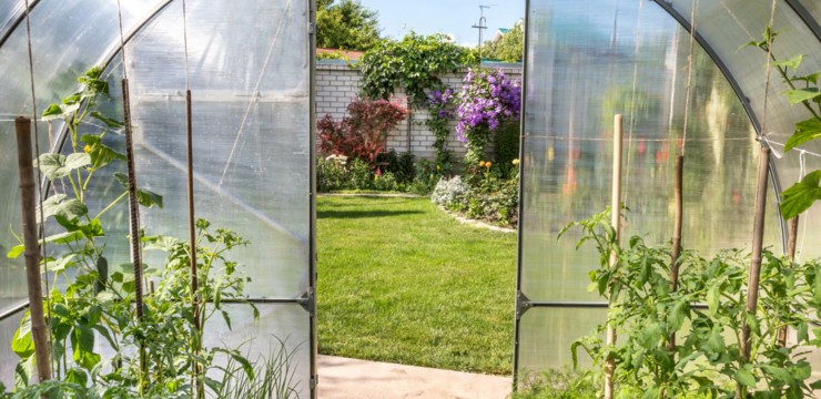 Jaka folia na szklarnię lub tunel? Podpowiadamy, co wybrać