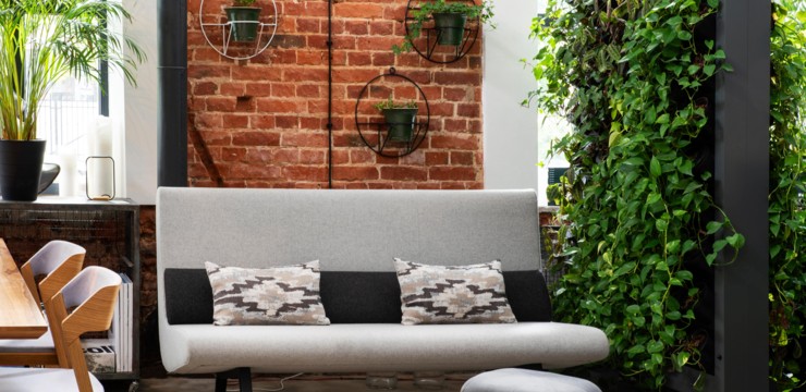 Ogród wertykalny – jak stworzyć ścianę roślin w domu, na balkonie lub tarasie? Sprawdź!