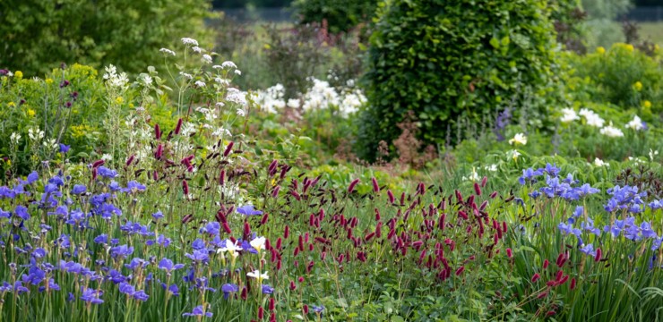 Ogród naturalistyczny - czym się charakteryzuje i jak go stworzyć?