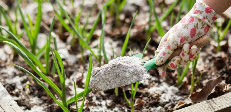 Jak zrobić nawóz z popiołu drzewnego? Sprawdź!