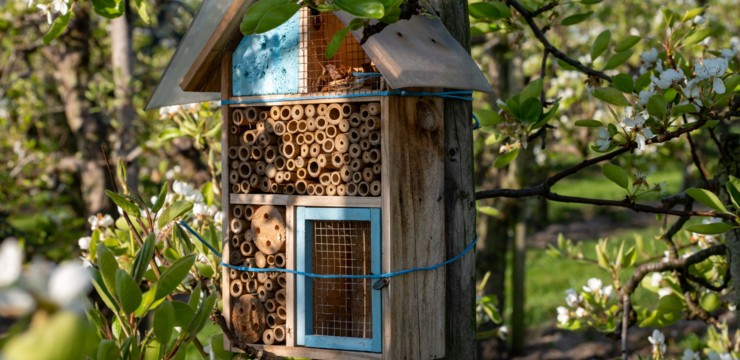 Jak zrobić domek dla owadów? Projekt DIY z HOME & GARDEN