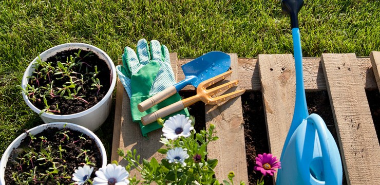 Jak przygotować ogród na wiosnę?