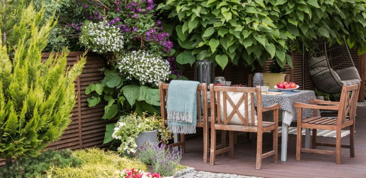 Aranżacja ogrodu przy płocie – jak zaaranżować i co posadzić?