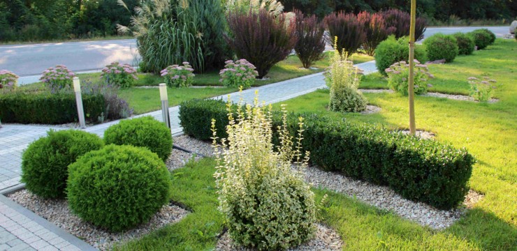 Jak wysypać kamienie w ogrodzie? Pomysły na kompozycje 