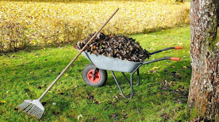 Jesień w ogrodzie - jakie prace należy wykonać?