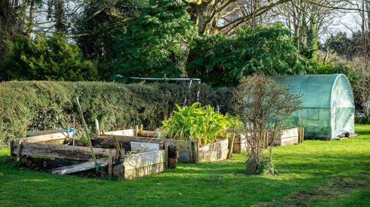 Czym i jak zacienić tunel foliowy? Siatka cieniująca na tunel foliowy jako sposób na niższą temperaturę