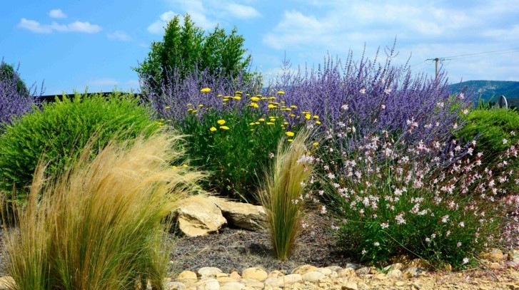 Ogród w stylu prowansalskim. Jak stworzyć sielski klimat w przydomowej przestrzeni?