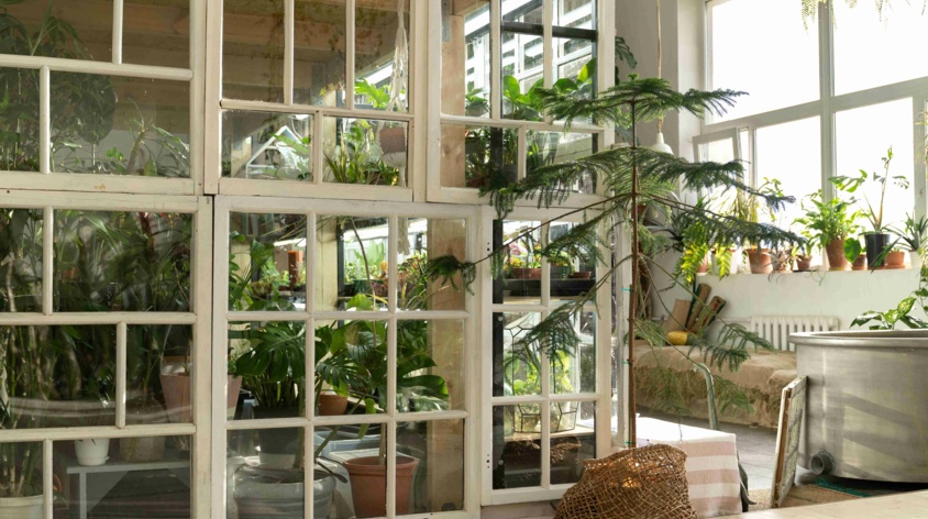 Ile kosztuje ogród zimowy na tarasie? Od czego zależy ostateczna cena?