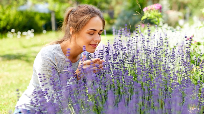 Jakie pachnące kwiaty na balkon i do ogrodu wybrać? Sprawdź 17 propozycji roślin!