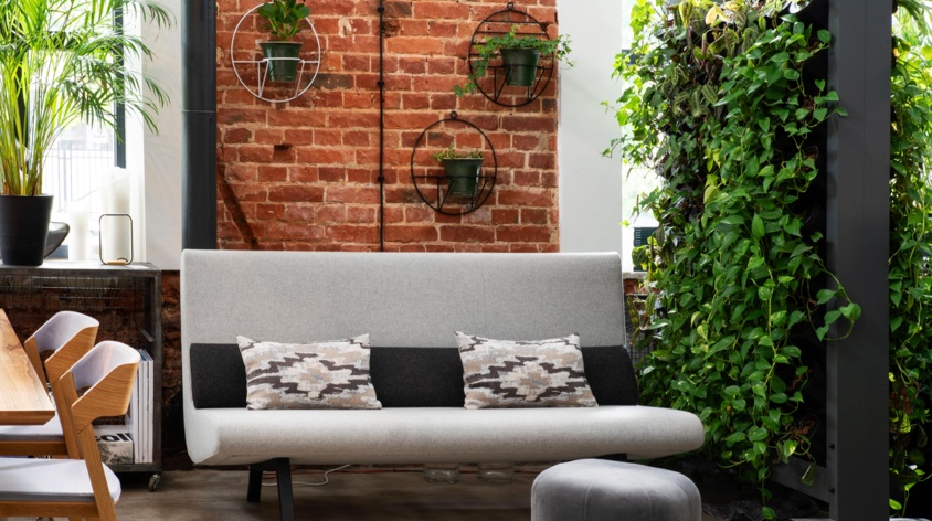 Ogród wertykalny – jak stworzyć ścianę roślin w domu, na balkonie lub tarasie? Sprawdź!