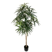 Sztuczna aralia 160 cm