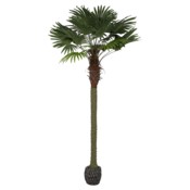 Sztuczna palma wachlarzowa 250 cm