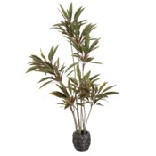 Sztuczna kordylina 180 cm