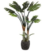 Sztuczna monstera wielopienna 170 cm