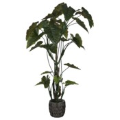 Sztuczna kolokazja 220 cm