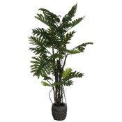 Sztuczny filodendron brasil 210 cm 