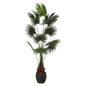 Sztuczna palma wachlarzowa na pniu 180 cm