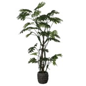 Sztuczny filodendron 210 cm