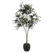 Sztuczna aralia 180 cm