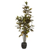 Sztuczny kroton 190 cm