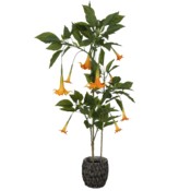 Sztuczna datura 160 cm