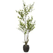 Sztuczna zielistka 190 cm