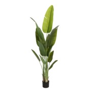 Sztuczny pielgrzan madagaskarski 200 cm