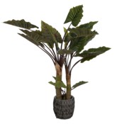 Sztuczna kolokazja 170 cm