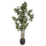 Sztuczny fikus 190 cm