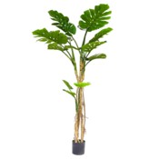 Sztuczna monstera wielopienna 180 cm