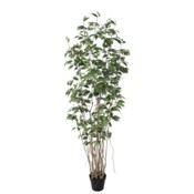 Sztuczny fikus 190 cm