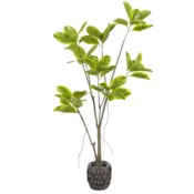 Sztuczny fikus 180 cm