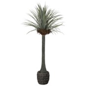 Sztuczna juka 180 cm