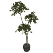 Sztuczne drzewo oliwne wielopienne 180 cm 