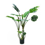 Sztuczna monstera wielopienna 160 cm