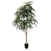 Sztuczna aralia 180 cm