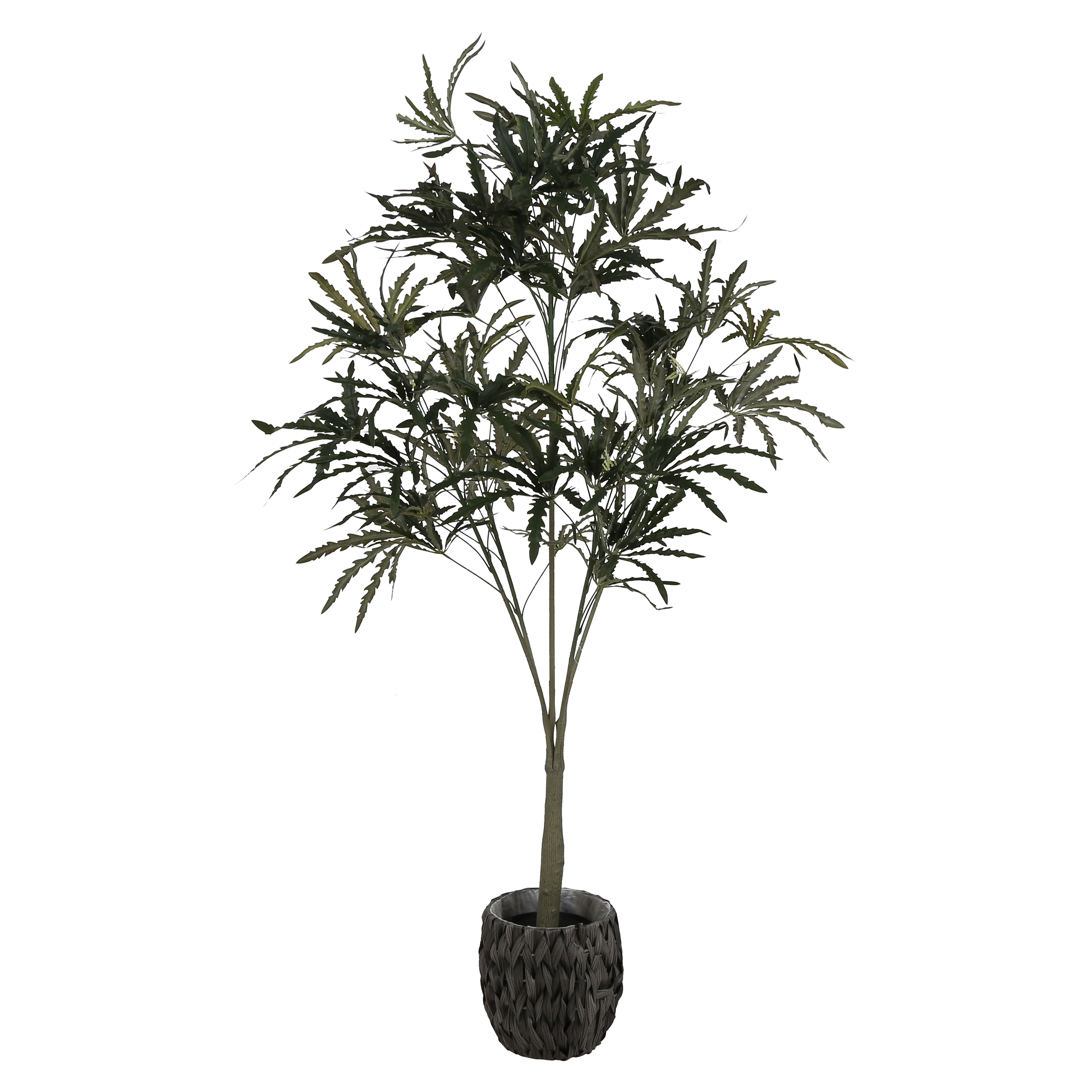 Sztuczna aralia 180 cm