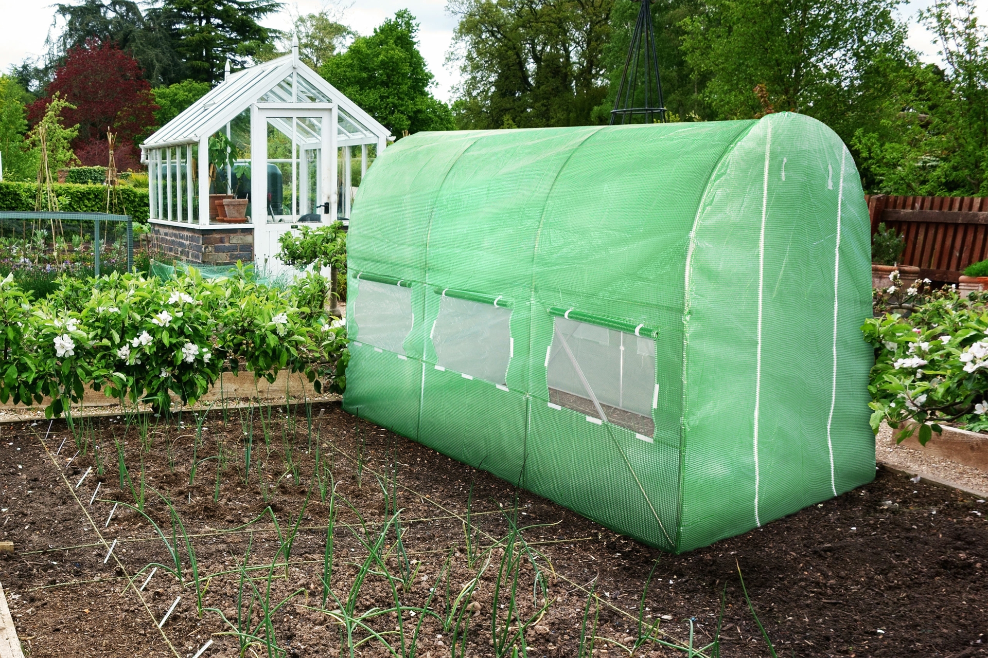 Tunel foliowy 200 x 300 cm (6 m²) stelaż + folia niebieska