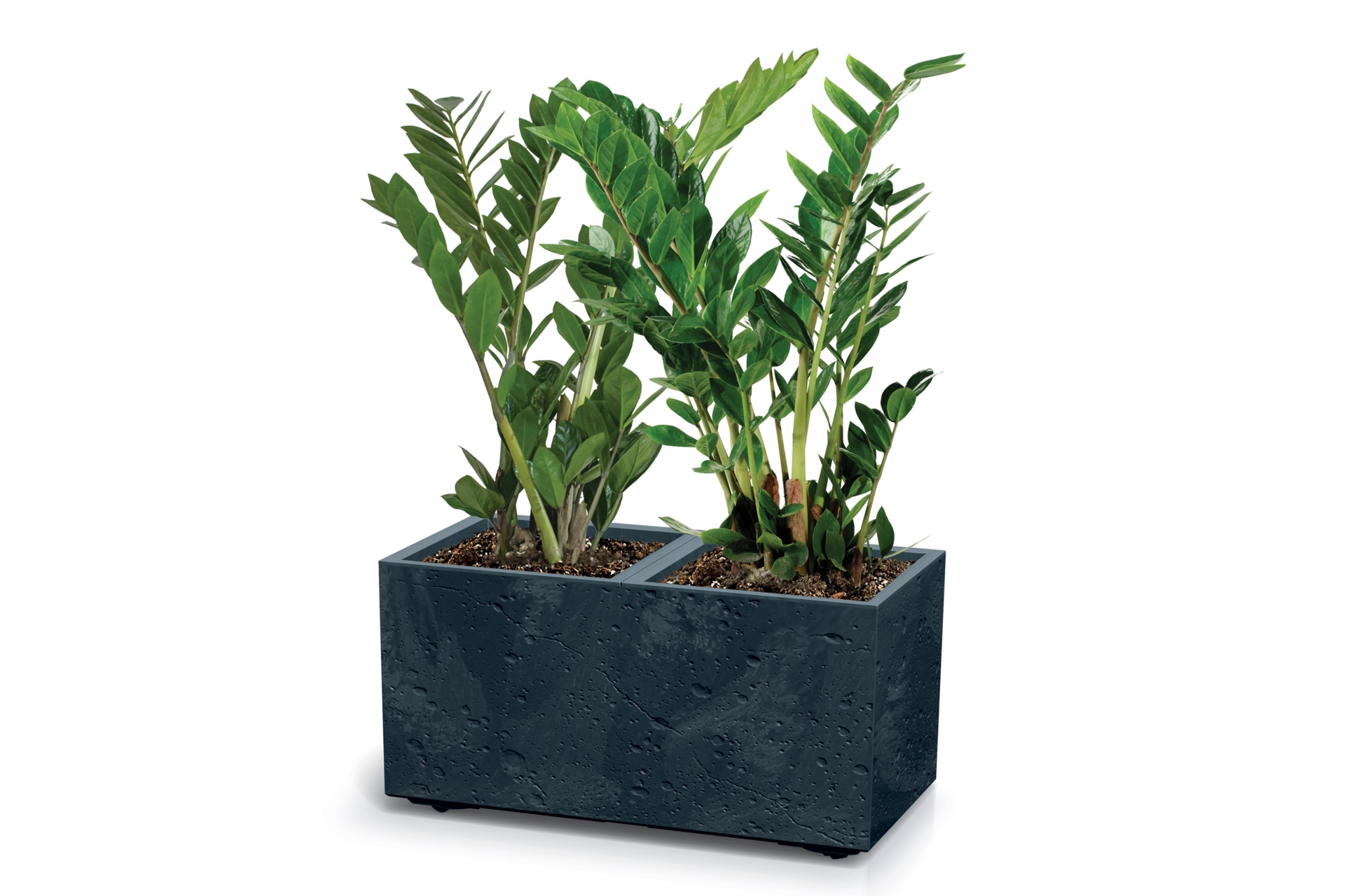 Donica ogrodowa Prosperplast Sierra Case Beton Effect Anthracite 26 l