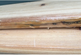Ogrodowy zestaw piwny 200 cm II. gatunek