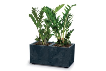 Donica ogrodowa Prosperplast Sierra Case Beton Effect Anthracite 26 l