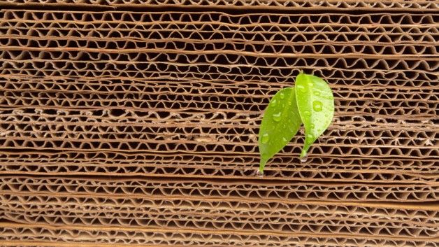 Ściółkowanie kartonami – poznaj wady i zalety!