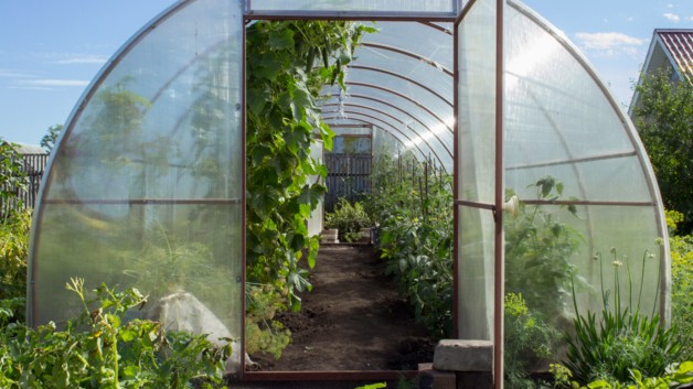 Budowa szklarni – kompleksowy poradnik DIY