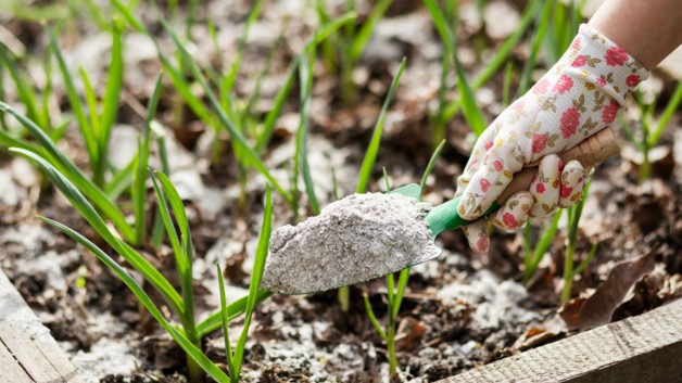 Jak zrobić nawóz z popiołu drzewnego? Sprawdź!