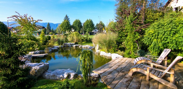 Jak zrobić oczko wodne w ogrodzie? Poradnik krok po kroku