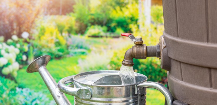 Jak zbierać deszczówkę i do czego jej użyć?