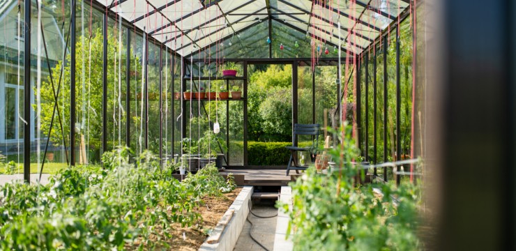 Jak urządzić tunel foliowy? Podpowiadamy 