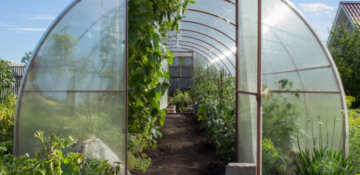 Budowa szklarni – kompleksowy poradnik DIY