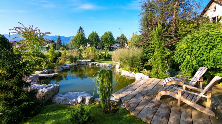 Jak zrobić oczko wodne w ogrodzie? Poradnik krok po kroku