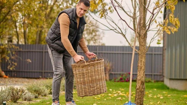 Październik w ogrodzie – co trzeba zrobić? Lista prac